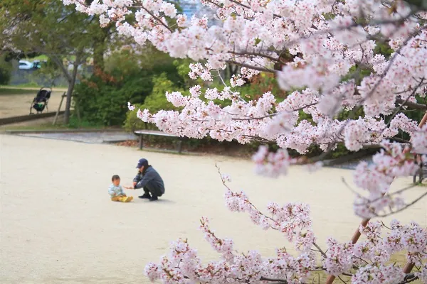 耳成山公園 3
