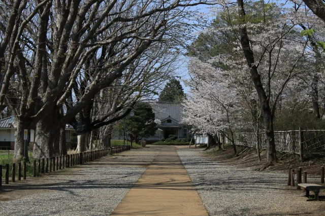三里塚記念公園 3