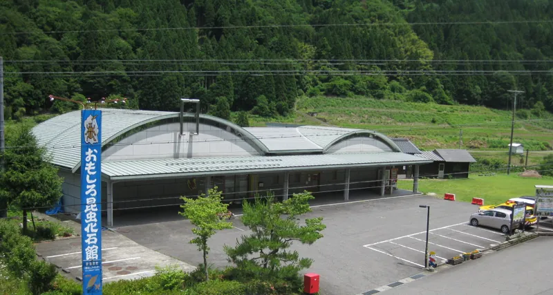 おもしろ昆虫化石館