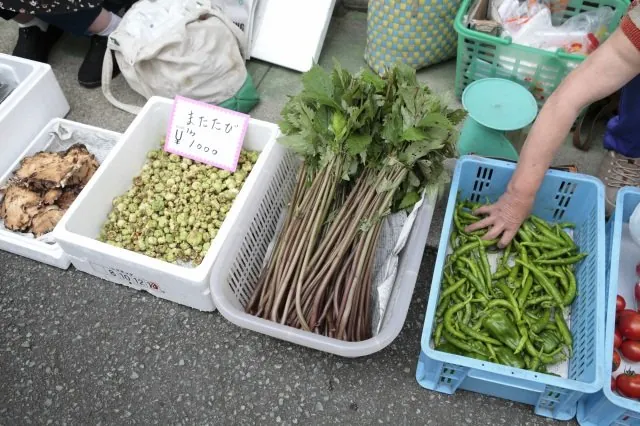 肘折名物「肘折朝市」 2