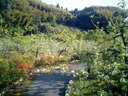 額谷ふれあい公園