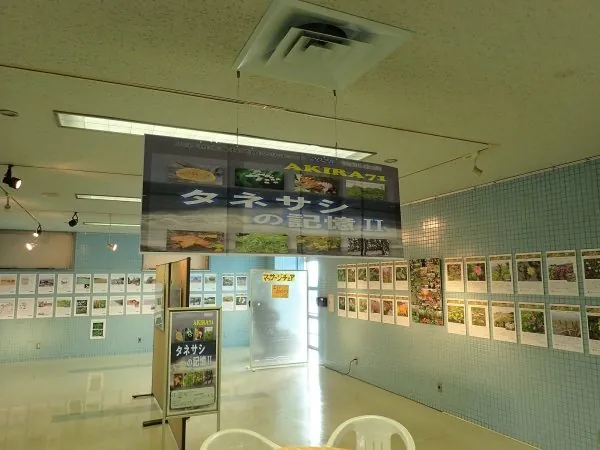 八戸市水産科学館マリエント 2