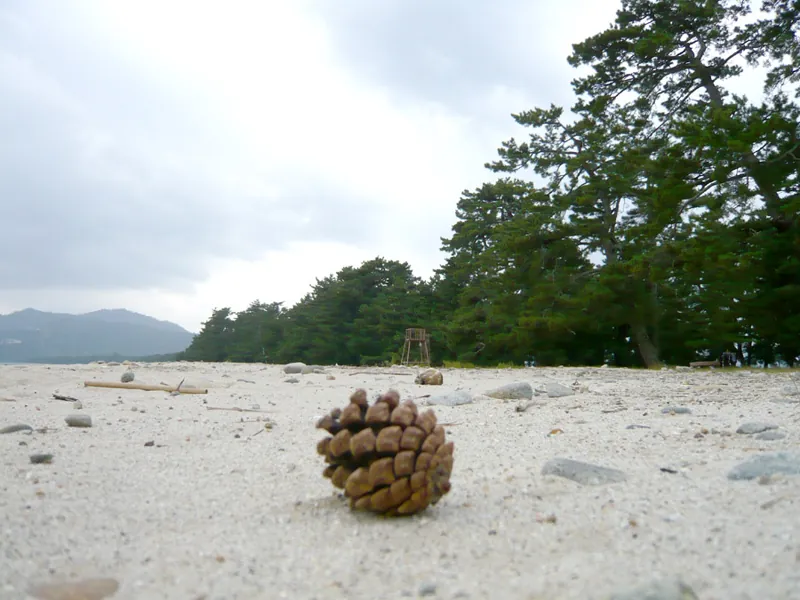 天橋立海水浴場