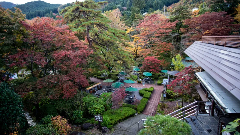 澤乃井園