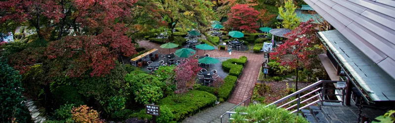 澤乃井園 2