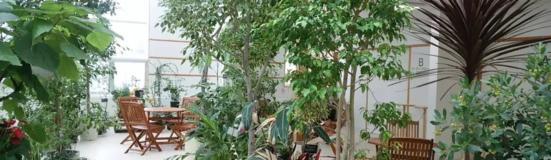 豊平公園緑のセンター