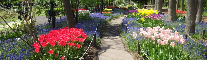 豊平公園緑のセンター 2