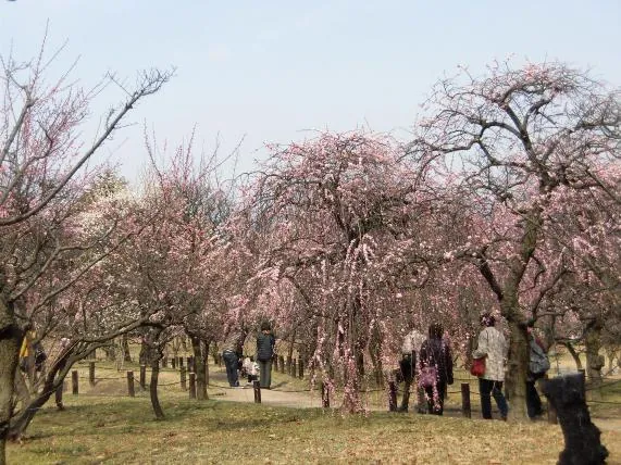 荒山公園
