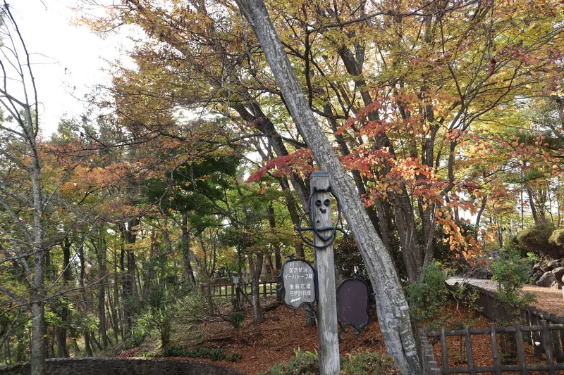 胡四王山