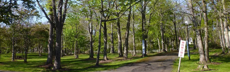 兜沼公園
