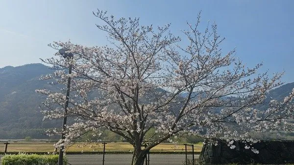 四国三郎の郷 3