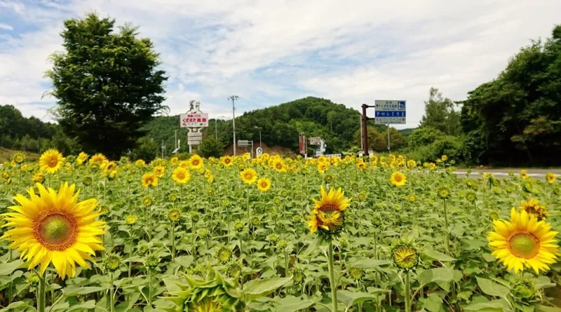 道の駅くずまき高原 2