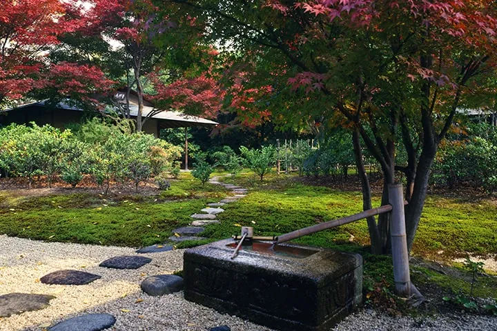 豊田市美術館