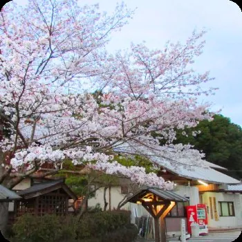 山江温泉ほたる 2