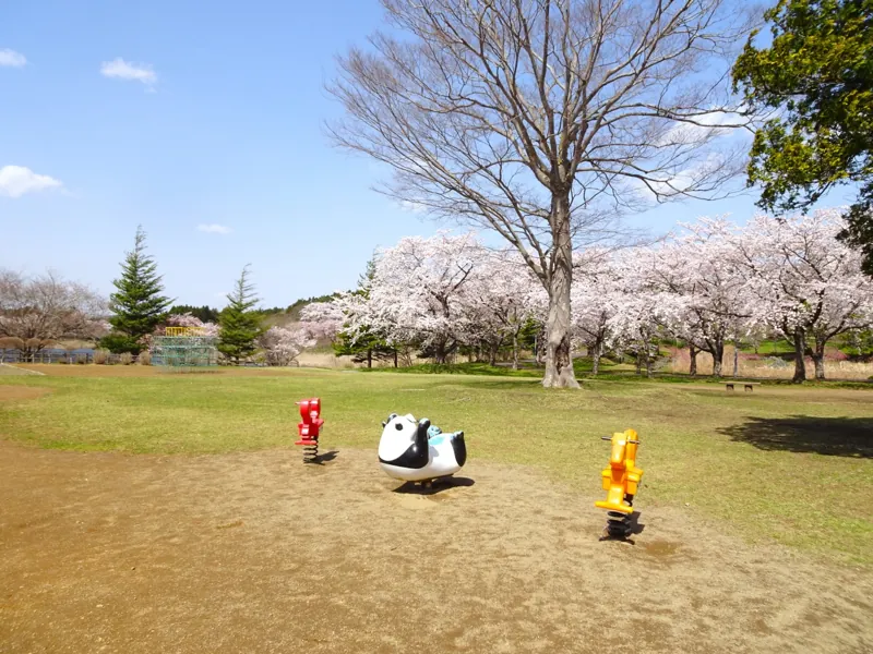 おいらせ町いちょう公園