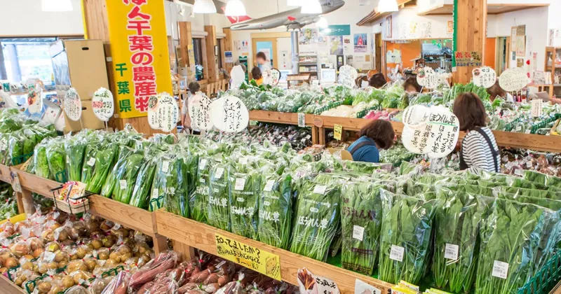 道の駅 風和里しばやま 1
