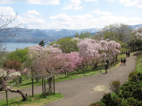 手宮公園 2
