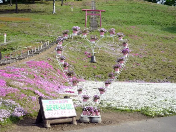 ひがしもこと芝桜公園 2