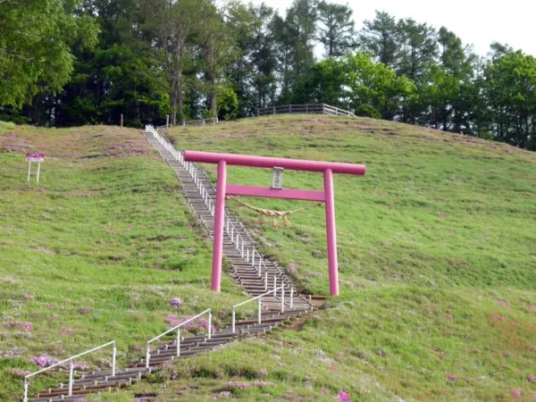 ひがしもこと芝桜公園 3