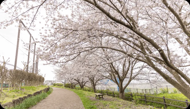 中田中央公園 3