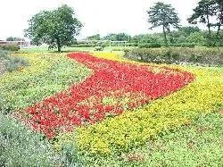 和賀川ふれあい広場 3