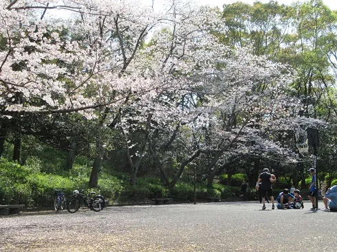 皇后崎公園