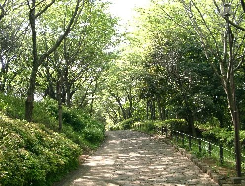 大庭城址公園