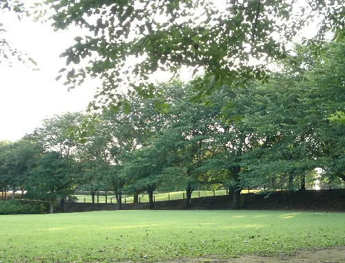 大庭城址公園 2