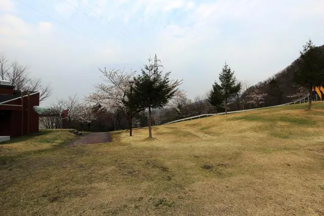白鳥公園 3