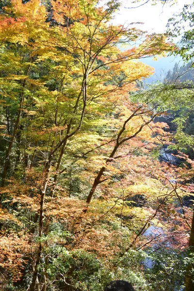 松葉川渓谷