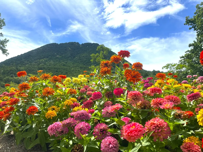 近江富士花緑公園・植物園