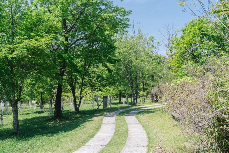 三重県上野森林公園 2