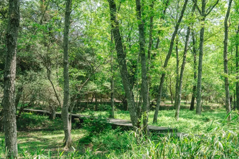 三重県上野森林公園 3