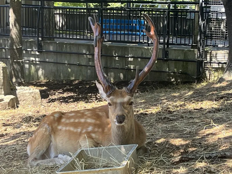 旭山動物園 2