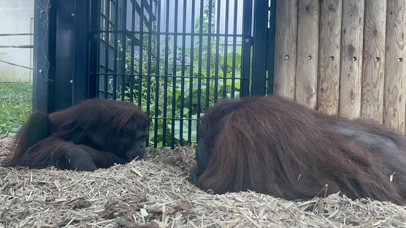旭山動物園 3