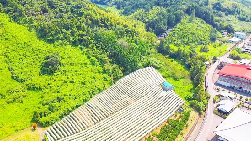 戸田果樹園