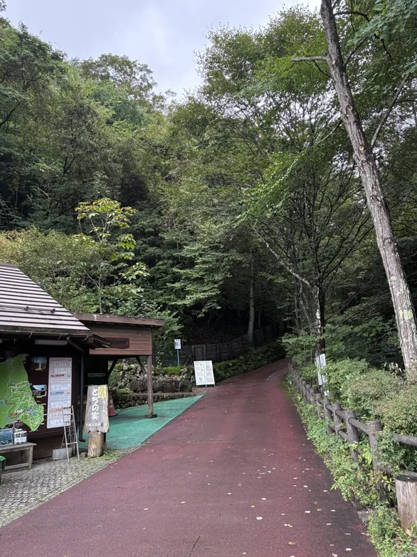 檜原都民の森 3