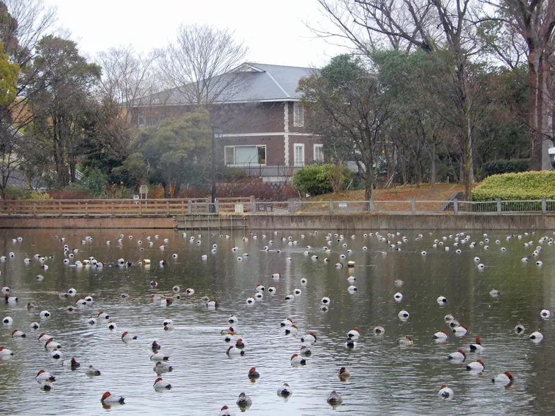 浮間公園 3