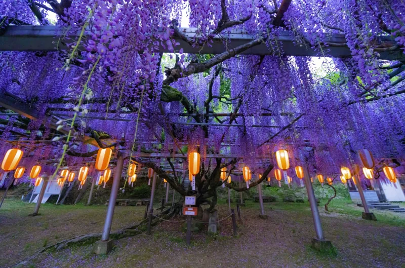 長正司公園 2