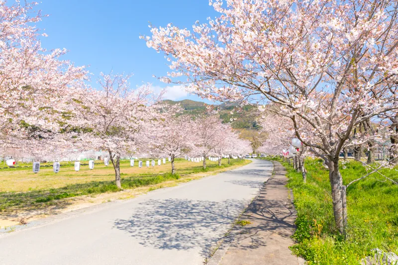 宮の前公園