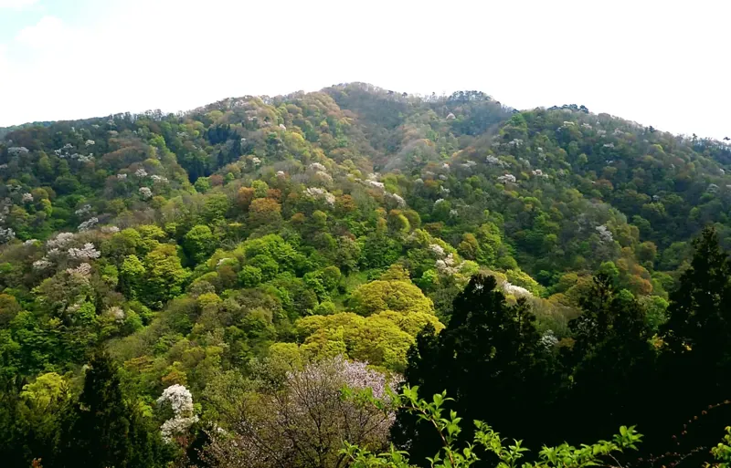 大峰山（櫛形山脈）