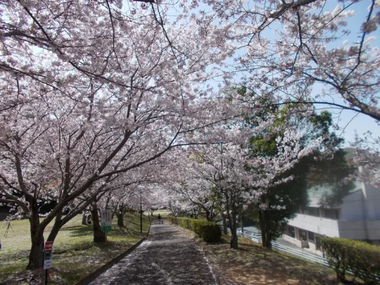 橘ノ丘総合運動公園 2
