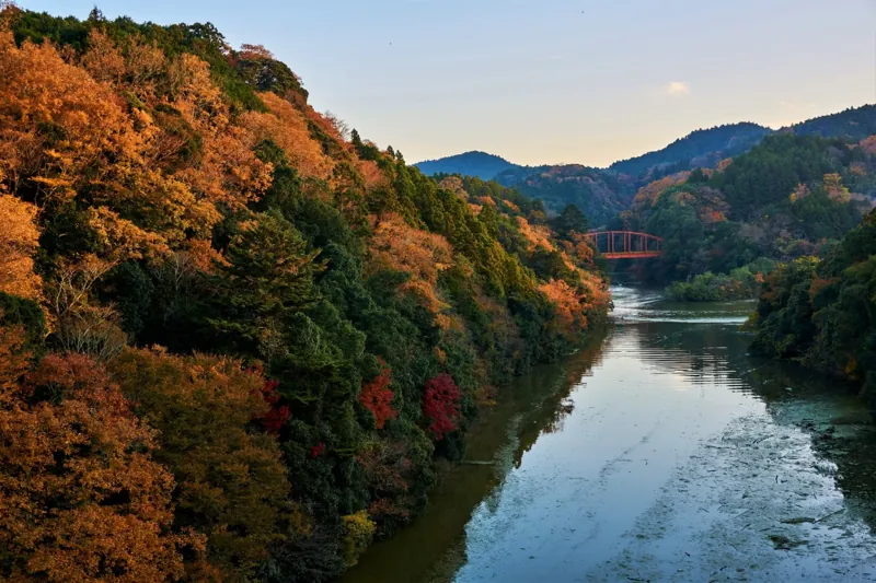 亀山湖の紅葉