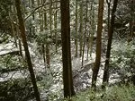 平家谷そうめん流し 2