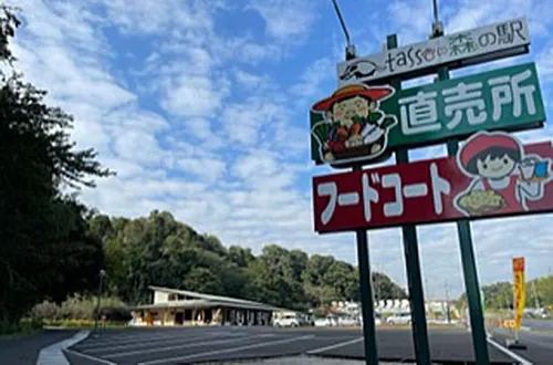 tassoの森