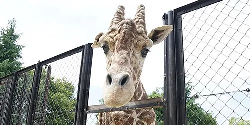 タカオ福山動物園(福山市立動物園) 2