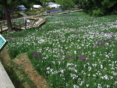 西の久保公園