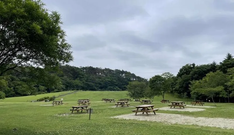 水の森公園