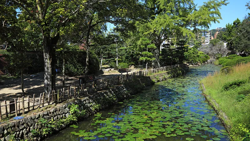 道後公園 3