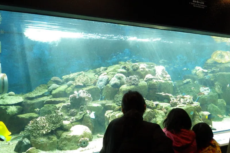 京都大学白浜水族館